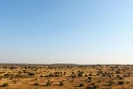 An African Safari